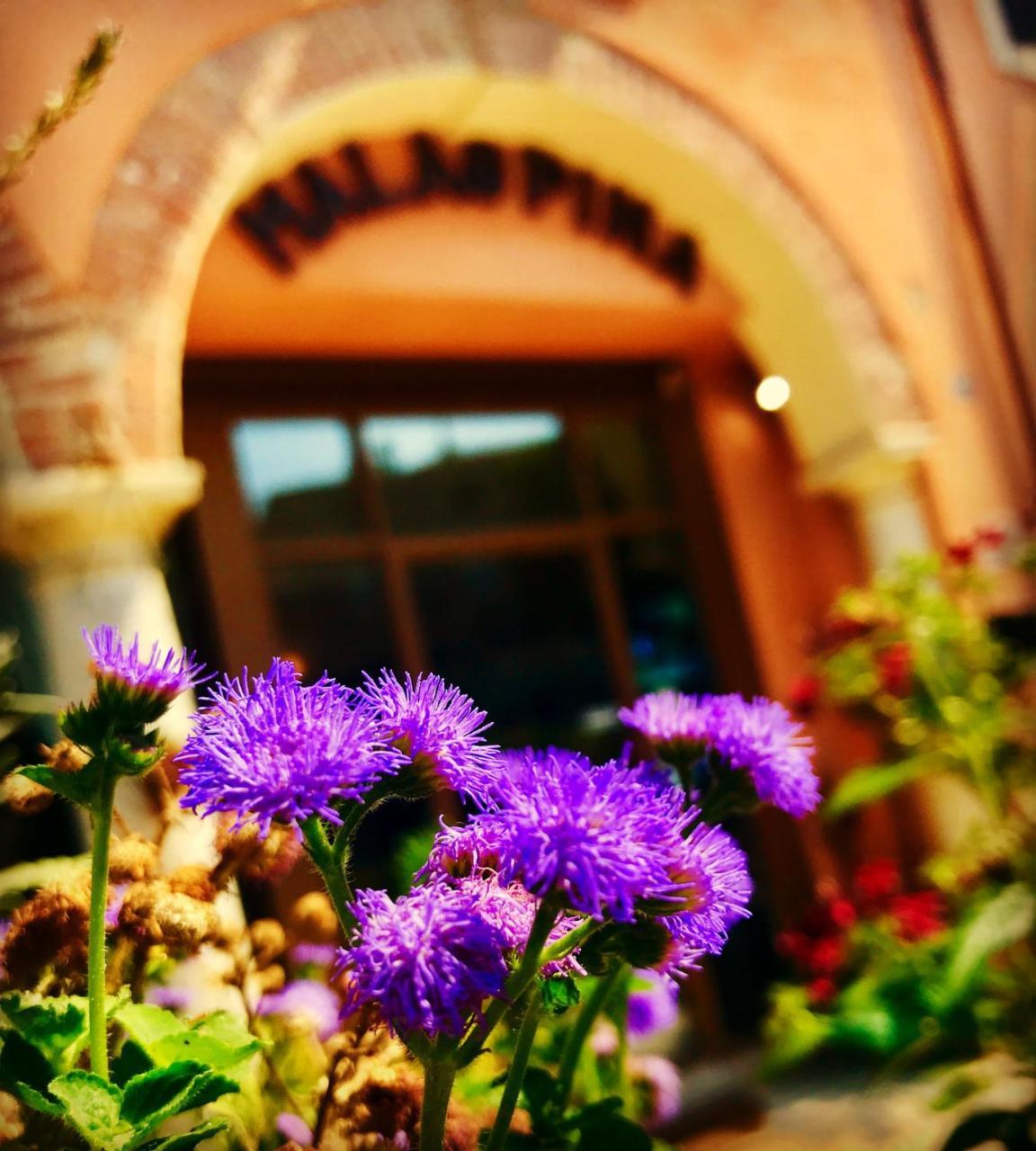 Boutique Hotel Corte Malaspina Castelnuovo del Garda Zewnętrze zdjęcie